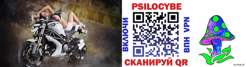 как найти наркотики  Лихославль  Галлюциногенные грибы Psilocybe 
